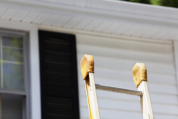 Professional Siding Installation & Repair in Burlington, WI